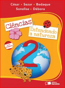 Capa 2